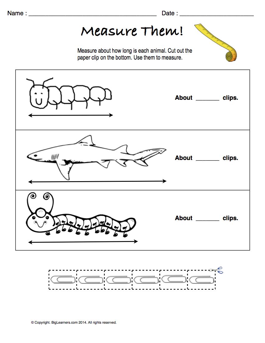 Preview image for worksheet with title Measure Them!