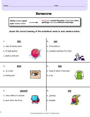 Preview image for worksheet with title Homonyms