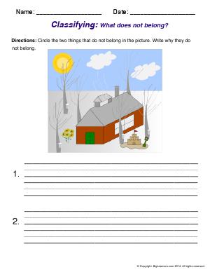 Preview image for worksheet with title Classifying: What doesn't belong?