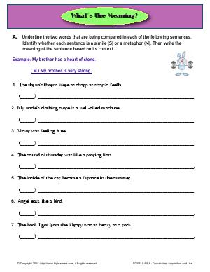 Preview image for worksheet with title What's the Meaning?