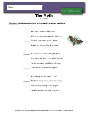 Preview image for worksheet with title The Moth