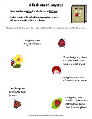Preview image for worksheet with title A Book About Ladybugs