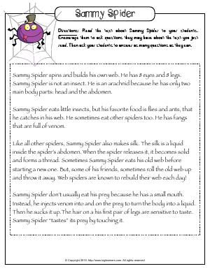 Preview image for worksheet with title Sammy Spider