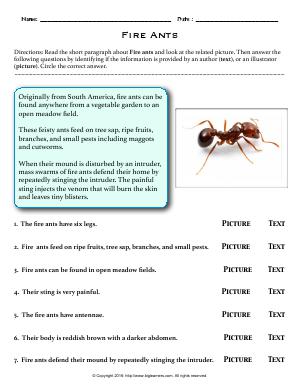 Preview image for worksheet with title Fire Ants