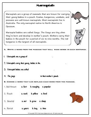 Preview image for worksheet with title Marsupials