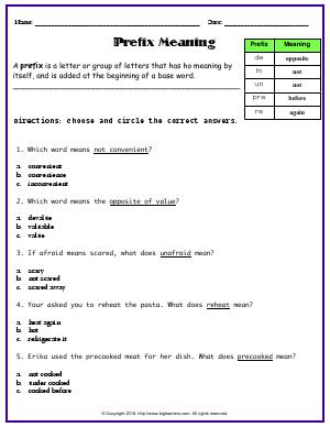 Preview image for worksheet with title Prefix Meaning