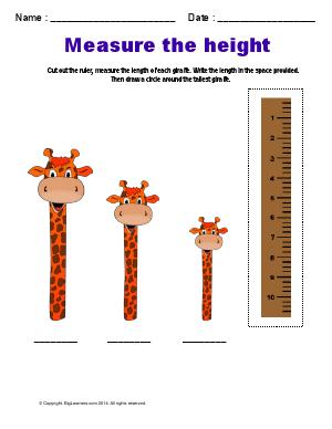 Preview image for worksheet with title Measure the Height