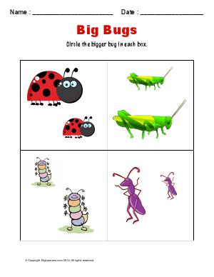 Preview image for worksheet with title Big Bugs