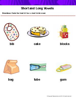 Preview image for worksheet with title Short and Long Vowels