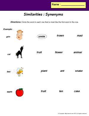 Preview image for worksheet with title Similarities : Synonyms