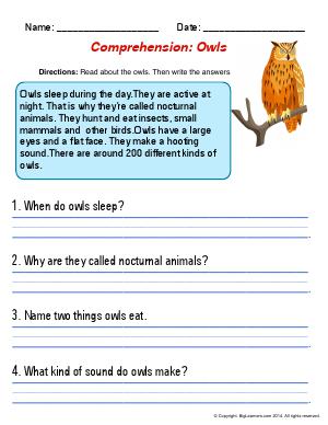 Preview image for worksheet with title Comprehension : Owls