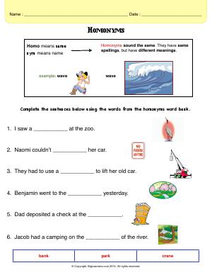 Preview image for worksheet with title Homonyms