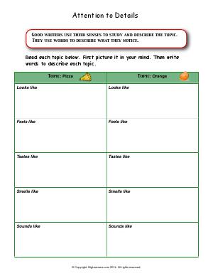 Preview image for worksheet with title Attention to Details