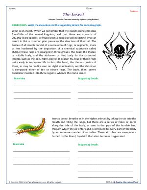 Preview image for worksheet with title The Insect