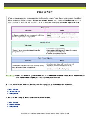 Preview image for worksheet with title Point Of View