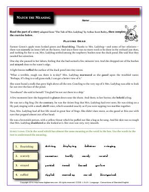 Preview image for worksheet with title Match the Meaning