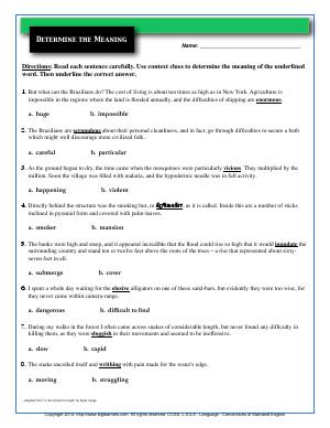 Preview image for worksheet with title Determine the Meaning