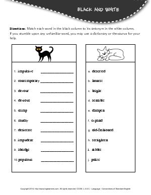 Preview image for worksheet with title Black and White