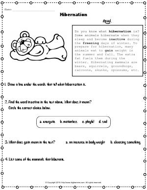 Preview image for worksheet with title Hibernation