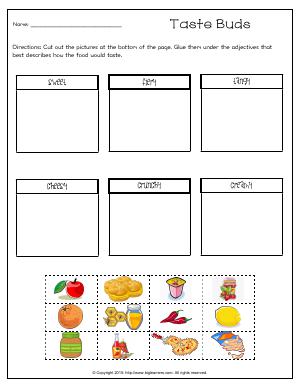 Preview image for worksheet with title Taste Buds