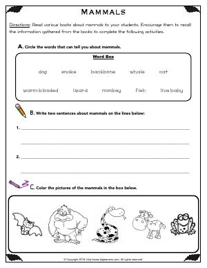 Preview image for worksheet with title Mammals