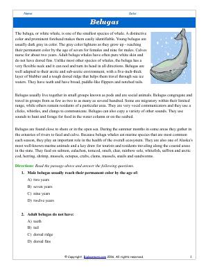 Preview image for worksheet with title Belugas
