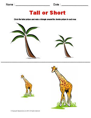 Preview image for worksheet with title Tall or Short