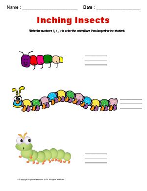 Preview image for worksheet with title Inching Insects