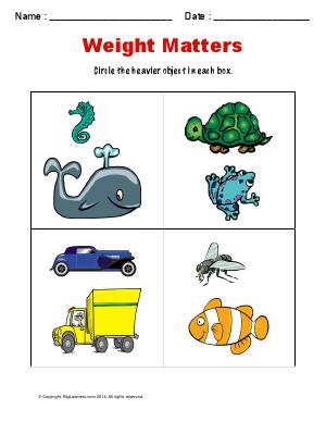 Preview image for worksheet with title Weight Matters