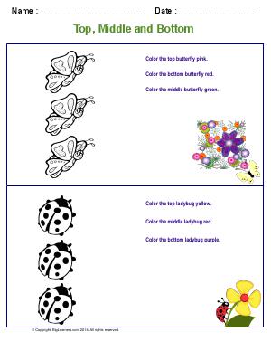 Preview image for worksheet with title Top, Middle, and Bottom