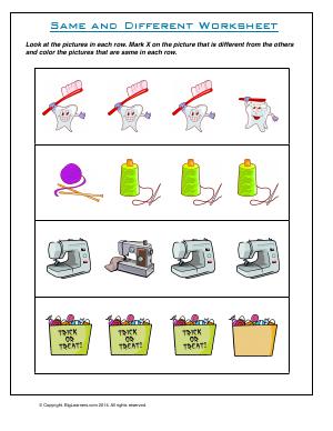 Preview image for worksheet with title Same and Different Worksheet